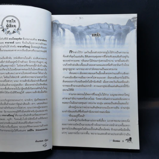 ชายาเสวียนอู่ (ดวงใจจตุรทิศ) - ตันเหมย รูปที่ 9