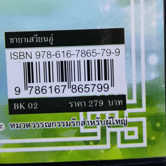 ชายาเสวียนอู่ (ดวงใจจตุรทิศ) - ตันเหมย รูปที่ 12