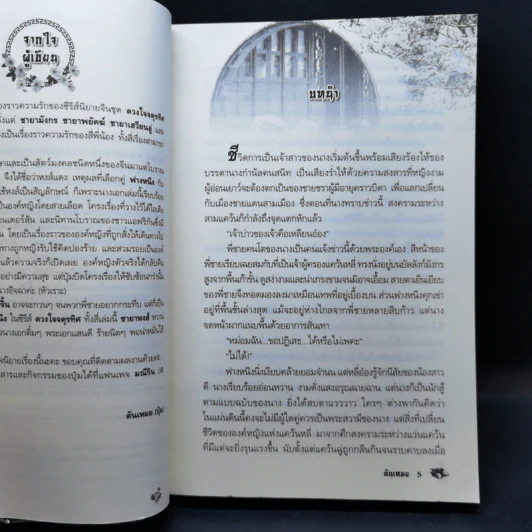 ชายาหงส์ (ซีรี่ส์ชุด ดวงใจจตุรทิศ) - ตันเหมย รูปที่ 9