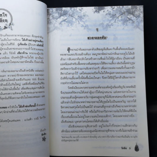 ใต้เท้าอย่าอยู่คนเดียวให้เปลี่ยวเหงา (ซีรี่ส์ฟ้าประทาน) - ซิงซิน รูปที่ 8