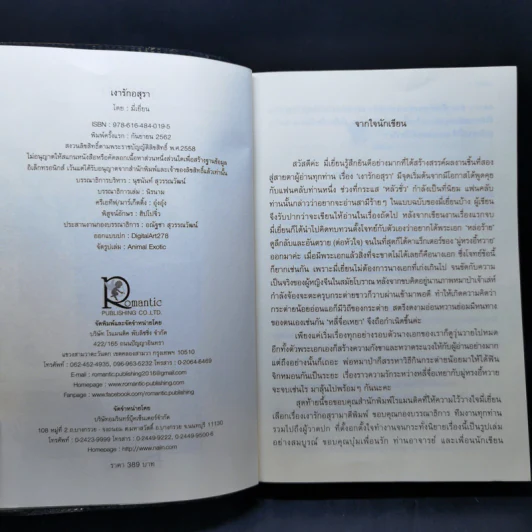 เงารักอสุรา - มี่เยี่ยน รูปที่ 9