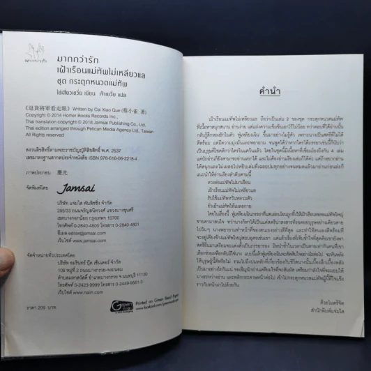 นิยายแจ่มใส ชุด กระตุกหนวดแม่ทัพ 4 เล่มจบ - ไช่เสี่ยวเชวี่ย รูปที่ 9