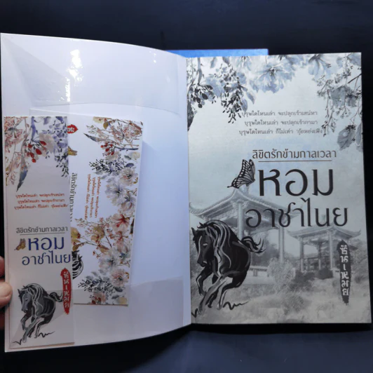 ลิขิตรักข้ามกาลเวลา นาวาลิขิตรัก + หอมอาชาไนย - ซินเหมย รูปที่ 13
