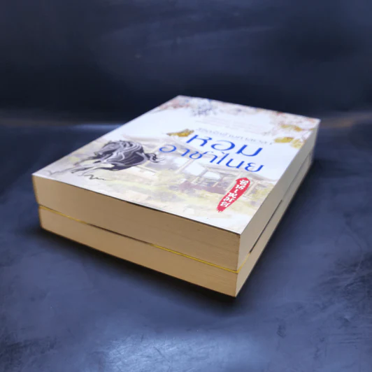 ลิขิตรักข้ามกาลเวลา นาวาลิขิตรัก + หอมอาชาไนย - ซินเหมย รูปที่ 7