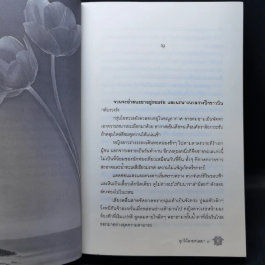 ลูกไม้ลายสนธยา - พงศกร รูปที่ 9