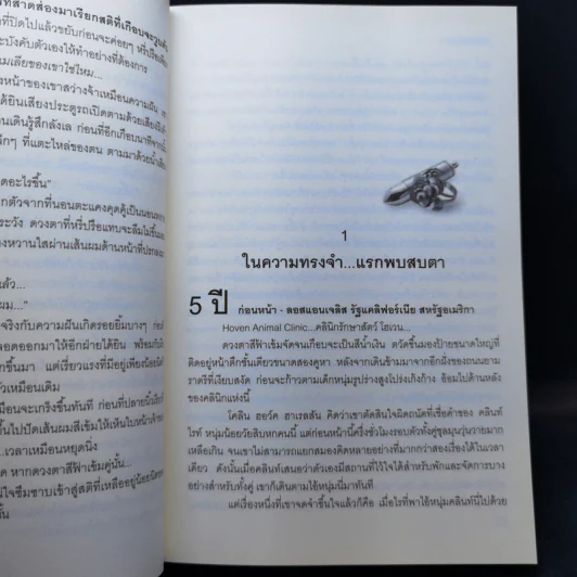 พ่ายรักร้าย - แก้วจอมขวัญ รูปที่ 11