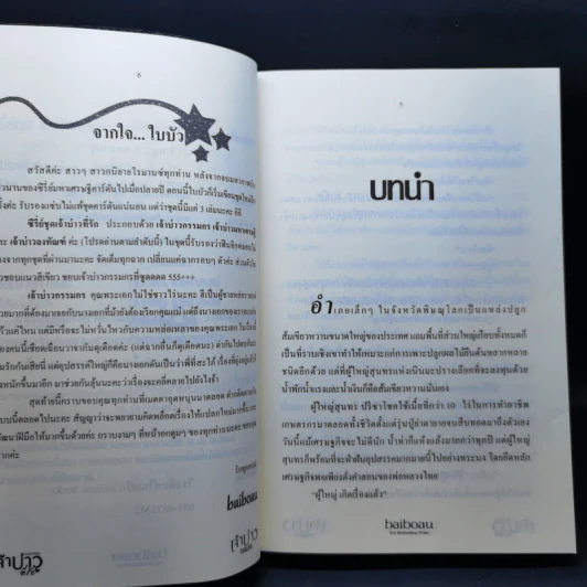 เจ้าบ่าวกรรมกร - baiboau รูปที่ 10