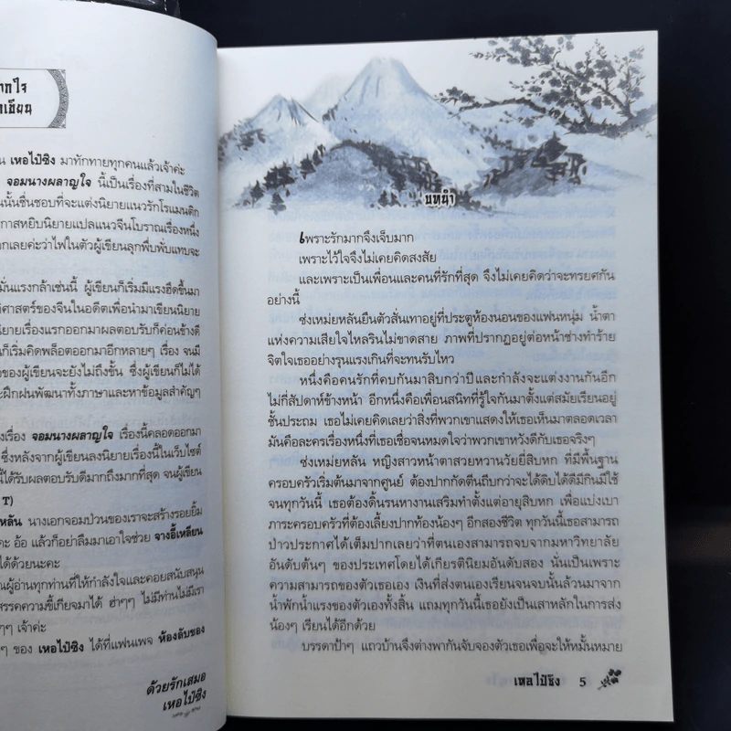จอมนางผลาญใจ - เหอไป๋ซิง รูปที่ 9