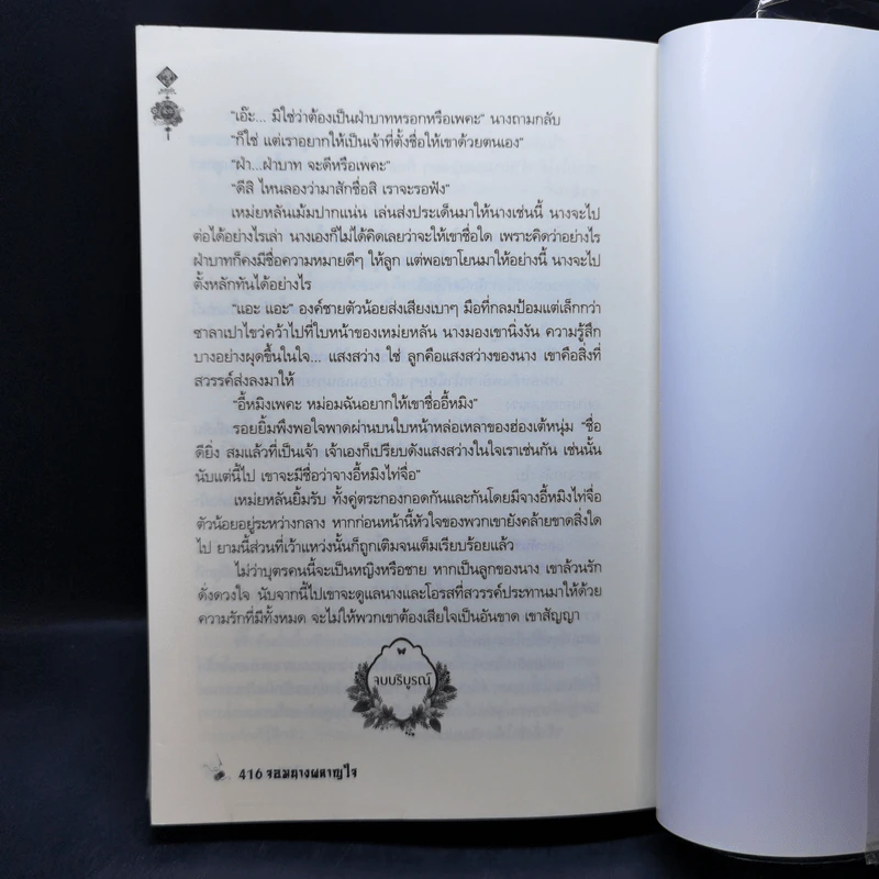 จอมนางผลาญใจ - เหอไป๋ซิง รูปที่ 11