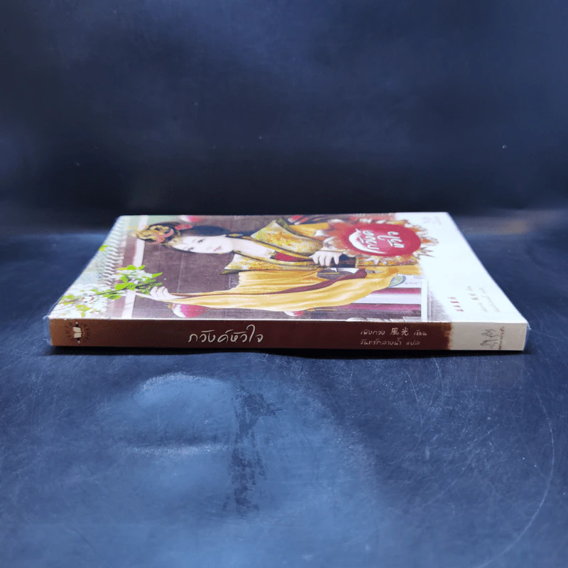 นิยายแจ่มใส ภวังค์หัวใจ - เฟิงกวง รูปที่ 3