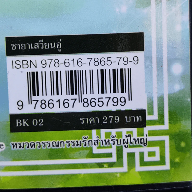 ชายาเสวียนอู่ (ดวงใจจตุรทิศ) - ตันเหมย รูปที่ 12