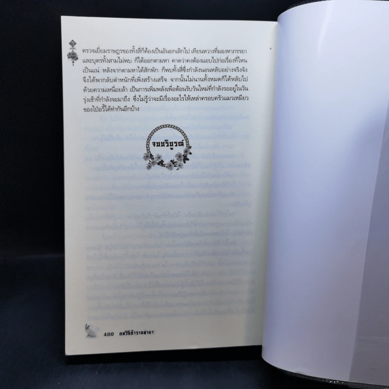 กลวิธีกำราบชายา - จินอวี้ รูปที่ 10