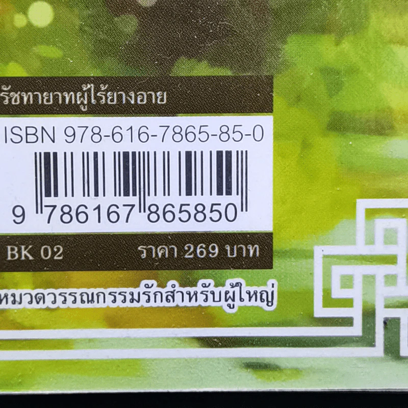 รัชทายาทผู้ไร้ยางอาย - เตี๋ยอู่ รูปที่ 13