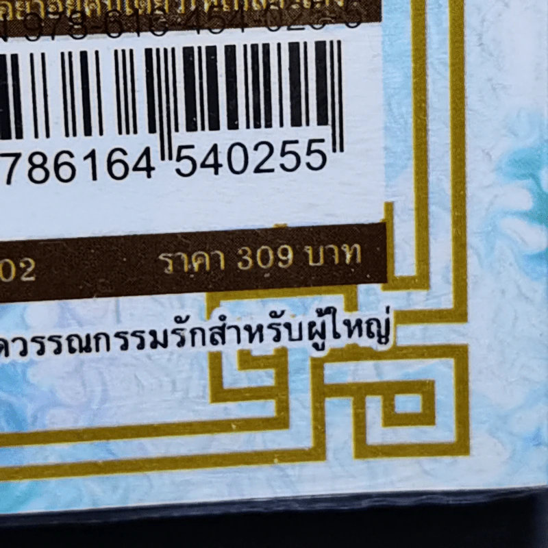 ใต้เท้าอย่าอยู่คนเดียวให้เปลี่ยวเหงา (ซีรี่ส์ฟ้าประทาน) - ซิงซิน รูปที่ 10
