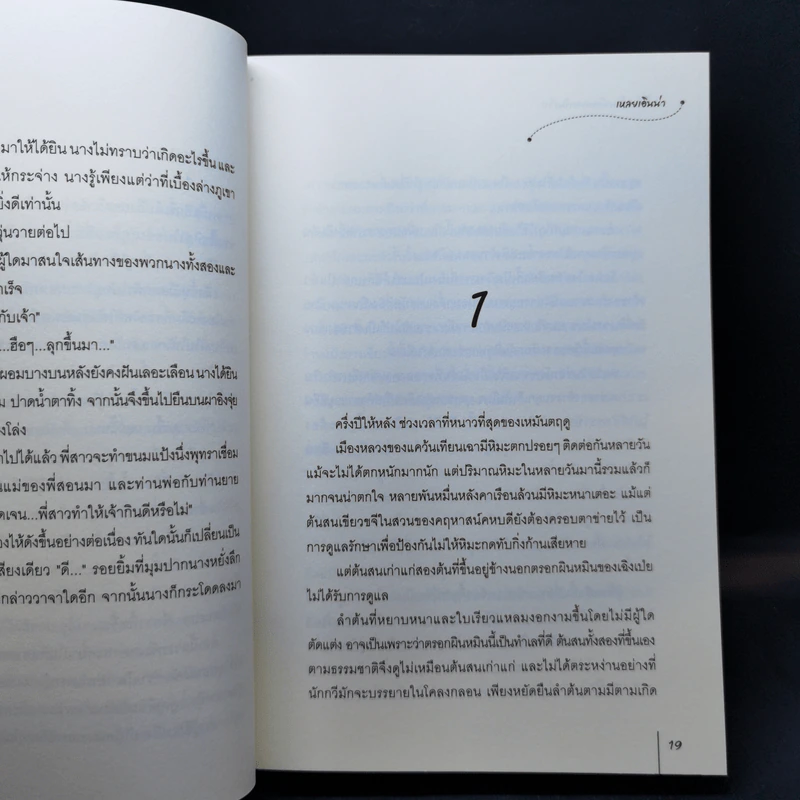 สตรีอ่อนโยนล้วนแฝงพิษร้าย - เหลยเอินน่า รูปที่ 11