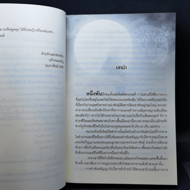 จันทราสิเน่หา - แก้วจอมขวัญ รูปที่ 10