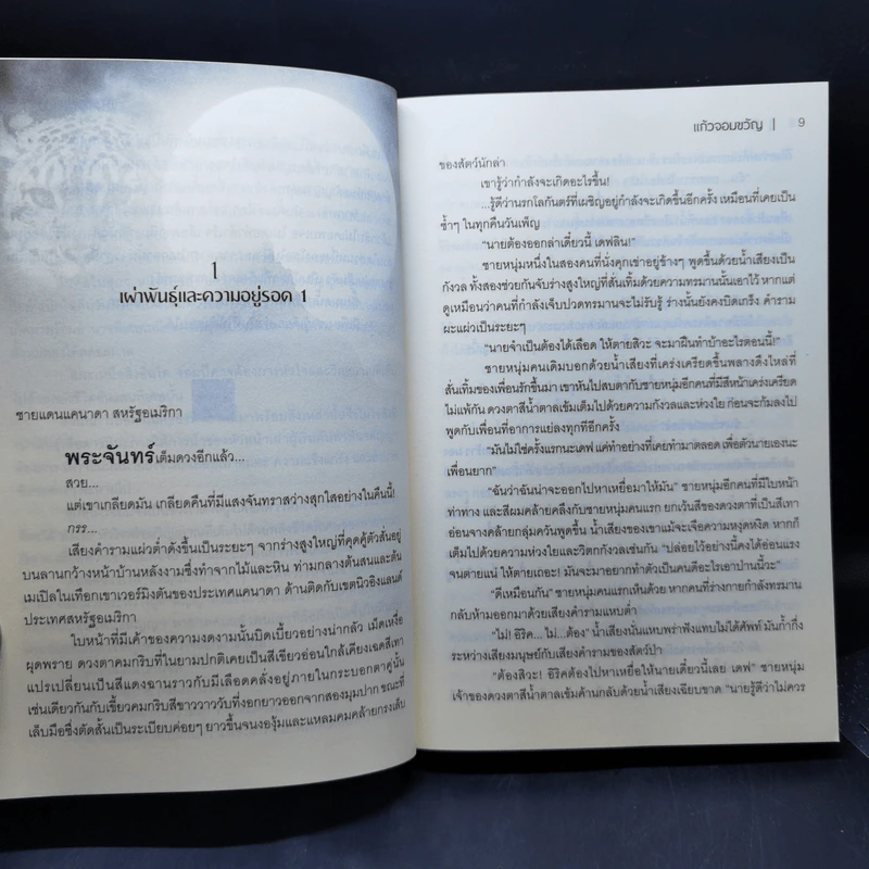 จันทราสิเน่หา - แก้วจอมขวัญ รูปที่ 11