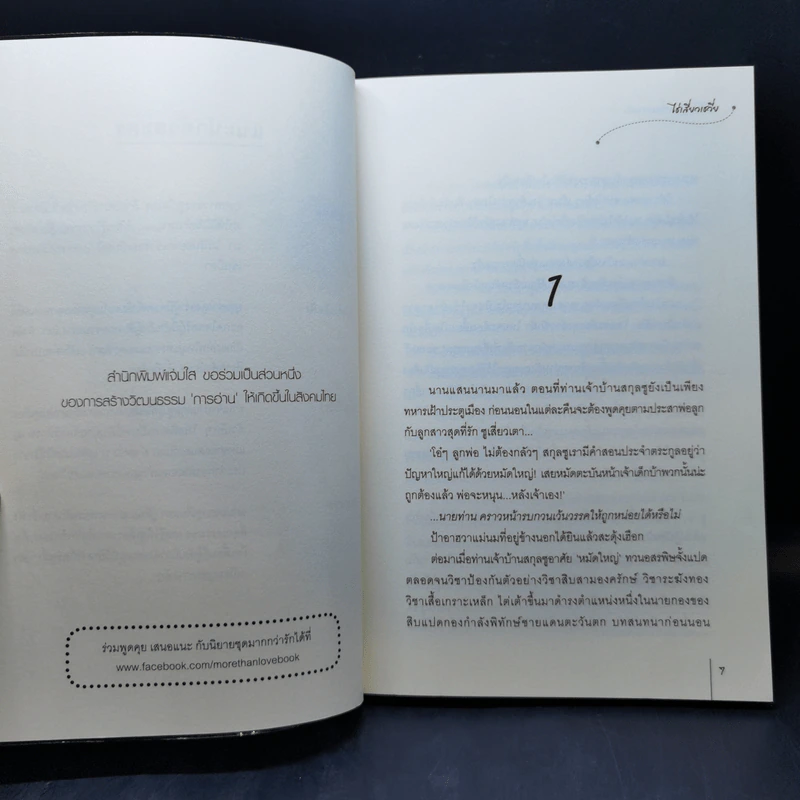 นิยายแจ่มใส ชุด กระตุกหนวดแม่ทัพ 4 เล่มจบ - ไช่เสี่ยวเชวี่ย รูปที่ 15