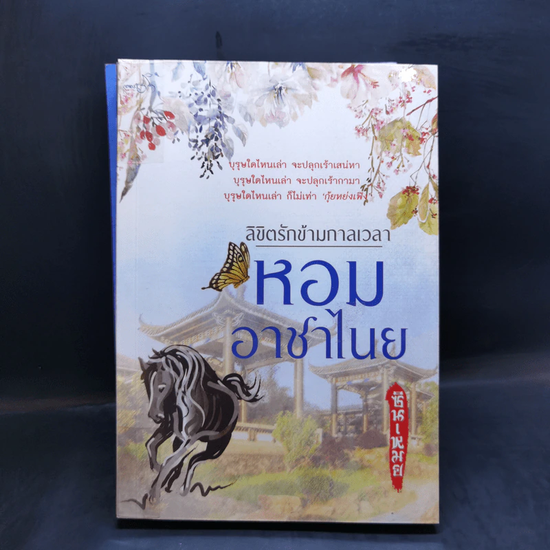 ลิขิตรักข้ามกาลเวลา นาวาลิขิตรัก + หอมอาชาไนย - ซินเหมย รูปที่ 12