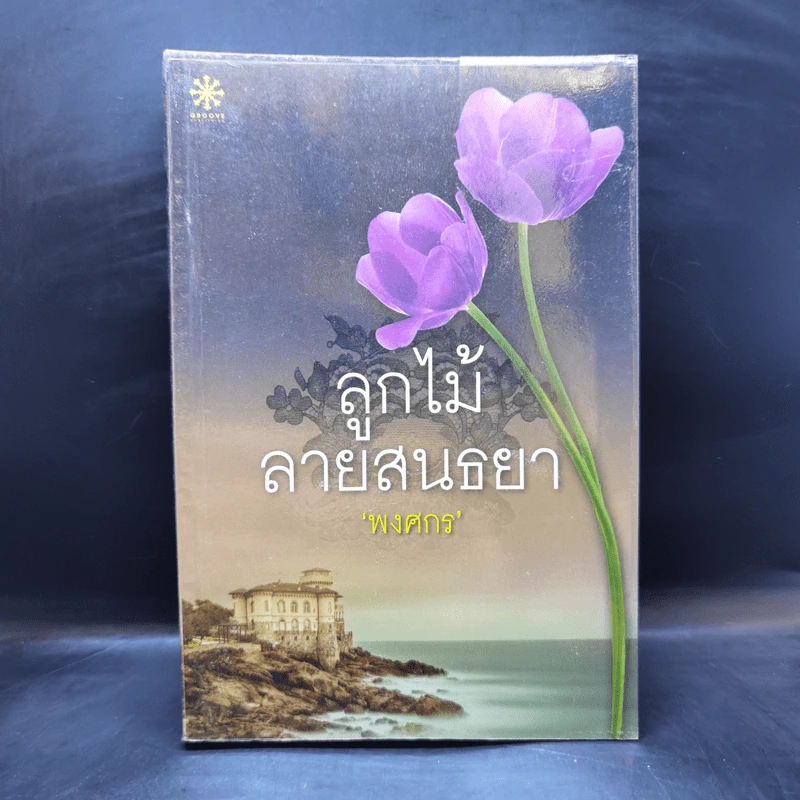 ลูกไม้ลายสนธยา - พงศกร รูปที่ 1