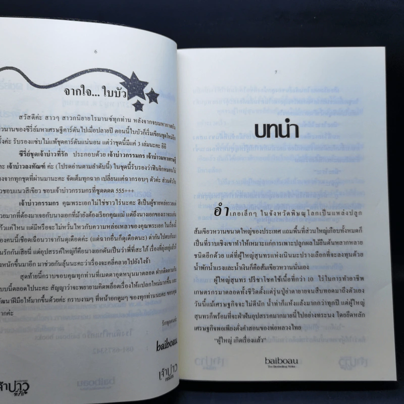 เจ้าบ่าวกรรมกร - baiboau รูปที่ 10
