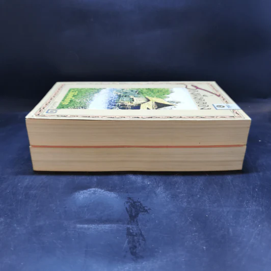 สองฝั่งคลอง 2 เล่มจบ Boxset - ว.วินิจฉัยกุล รูปที่ 6