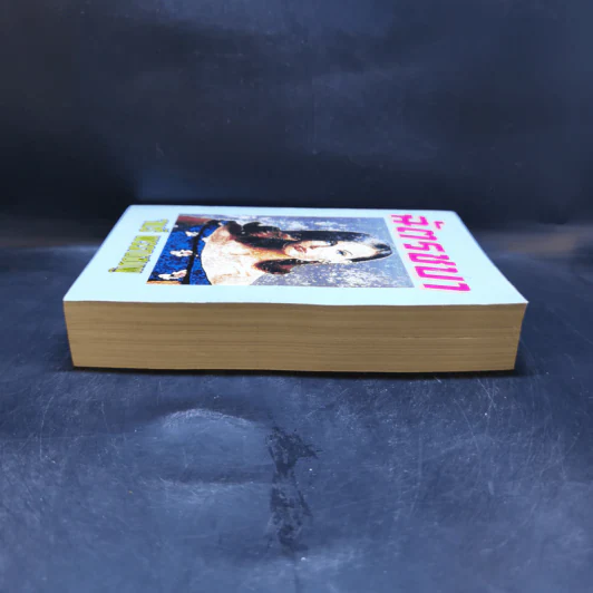 ฉัตรชบา - จามรี พรรณชมพู รูปที่ 5