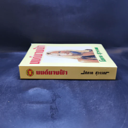 มนต์นางฟ้า - โสภาค สุวรรณ รูปที่ 3