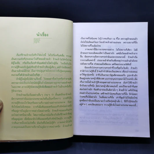 นางทิพย์ - แก้วเก้า รูปที่ 9