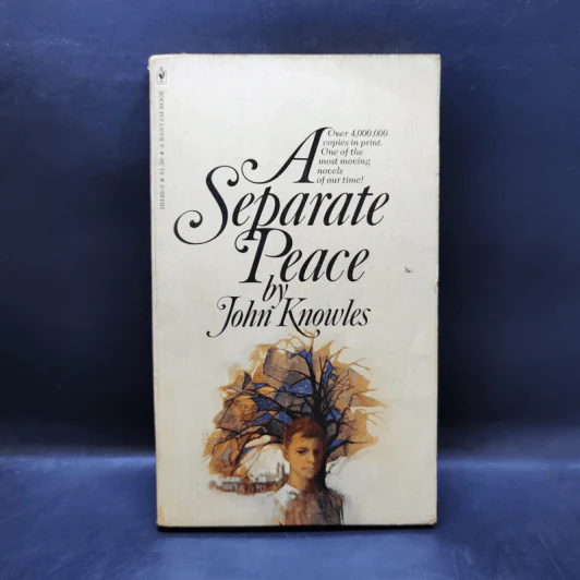 A Separate Peace - John Knowles รูปที่ 1