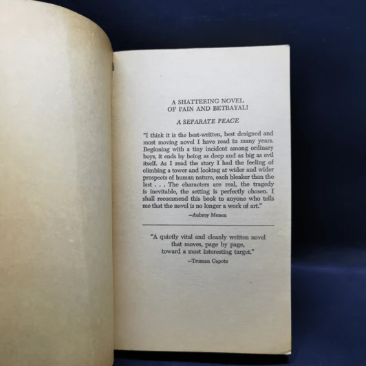 A Separate Peace - John Knowles รูปที่ 8