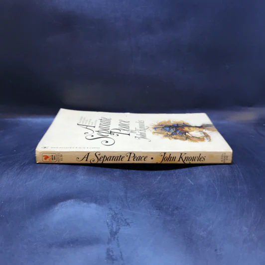 A Separate Peace - John Knowles รูปที่ 3