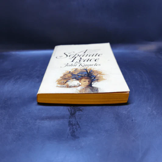 A Separate Peace - John Knowles รูปที่ 4
