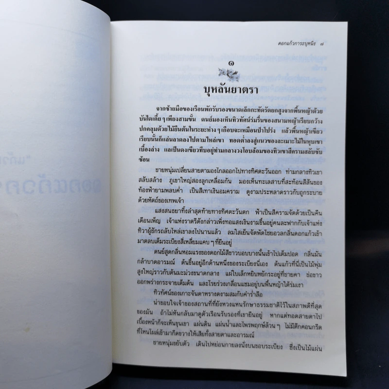 ดอกแก้วการะบุหนิง + ที่คั่นหนังสือ - แก้วเก้า รูปที่ 10
