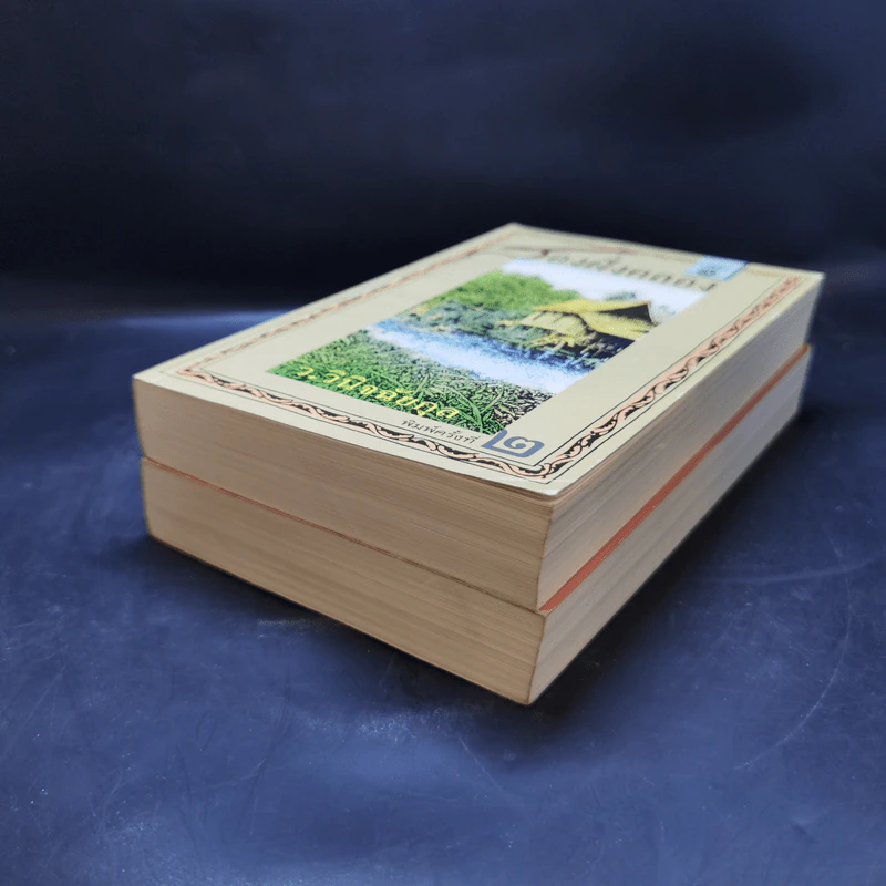 สองฝั่งคลอง 2 เล่มจบ Boxset - ว.วินิจฉัยกุล รูปที่ 8