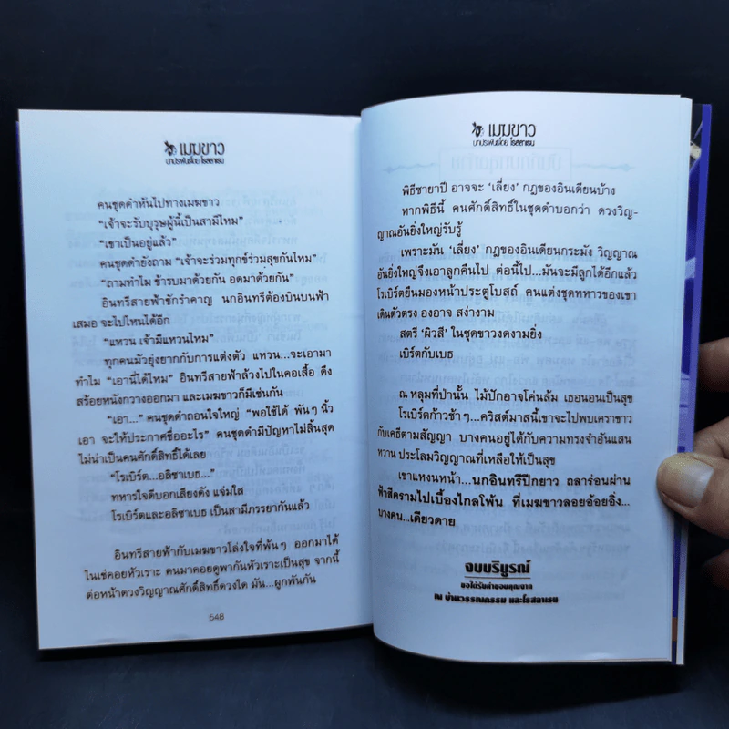เมฆขาว 2 เล่มจบ - โรสลาเรน รูปที่ 14