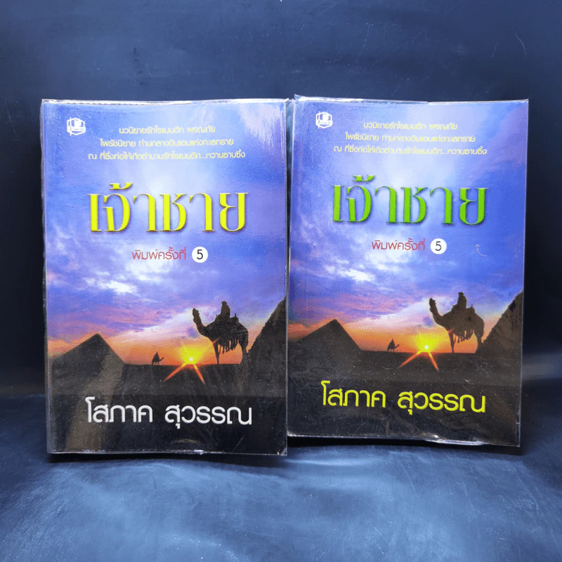 เจ้าชาย 2 เล่มจบ - โสภาค สุวรรณ รูปที่ 1