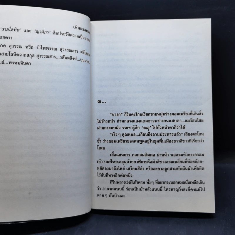 เจ้าทะเลทราย 2 เล่มจบ - โสภาค สุวรรณ รูปที่ 9