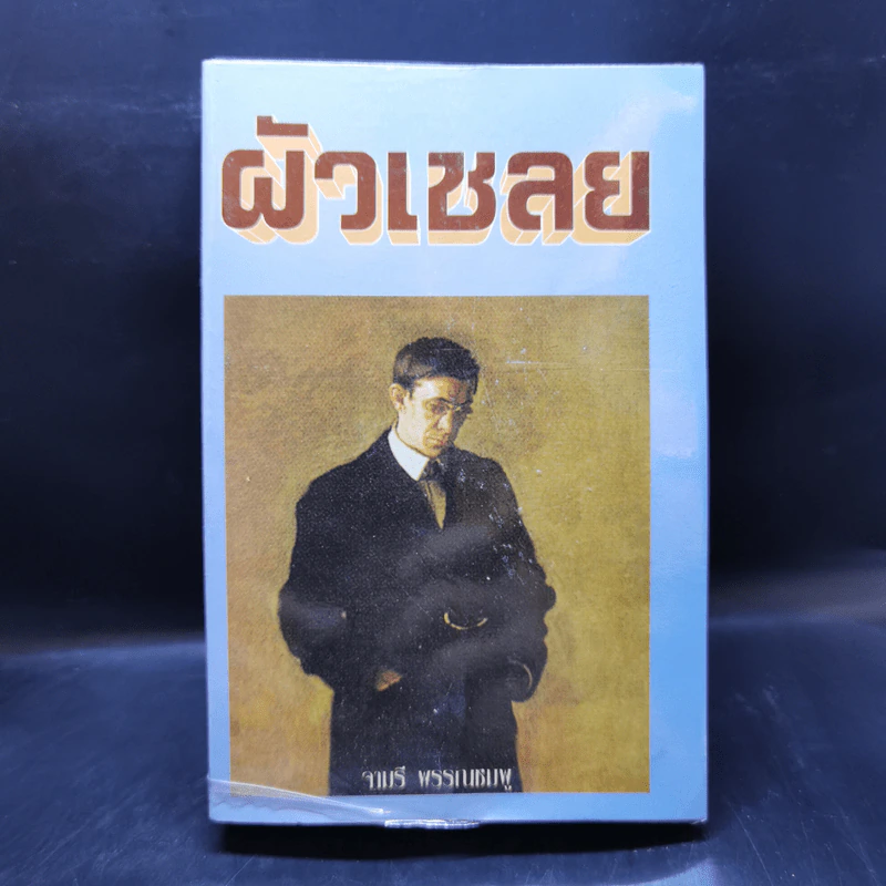 ผัวเชลย - จามรี พรรณชมพู รูปที่ 1