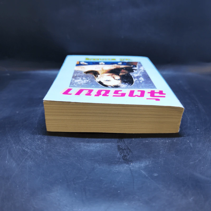 ฉัตรชบา - จามรี พรรณชมพู รูปที่ 6