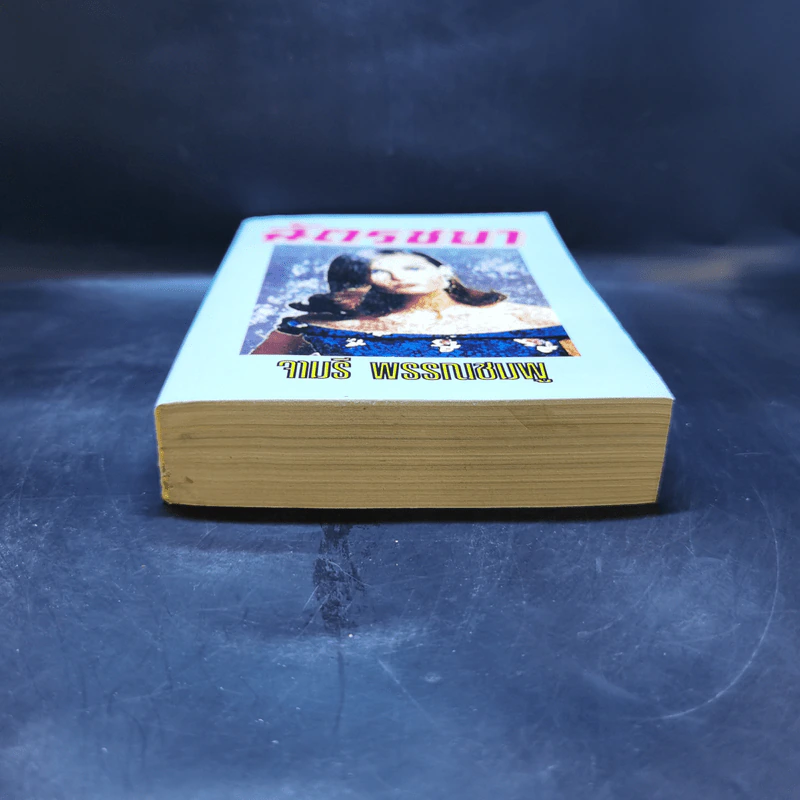 ฉัตรชบา - จามรี พรรณชมพู รูปที่ 4