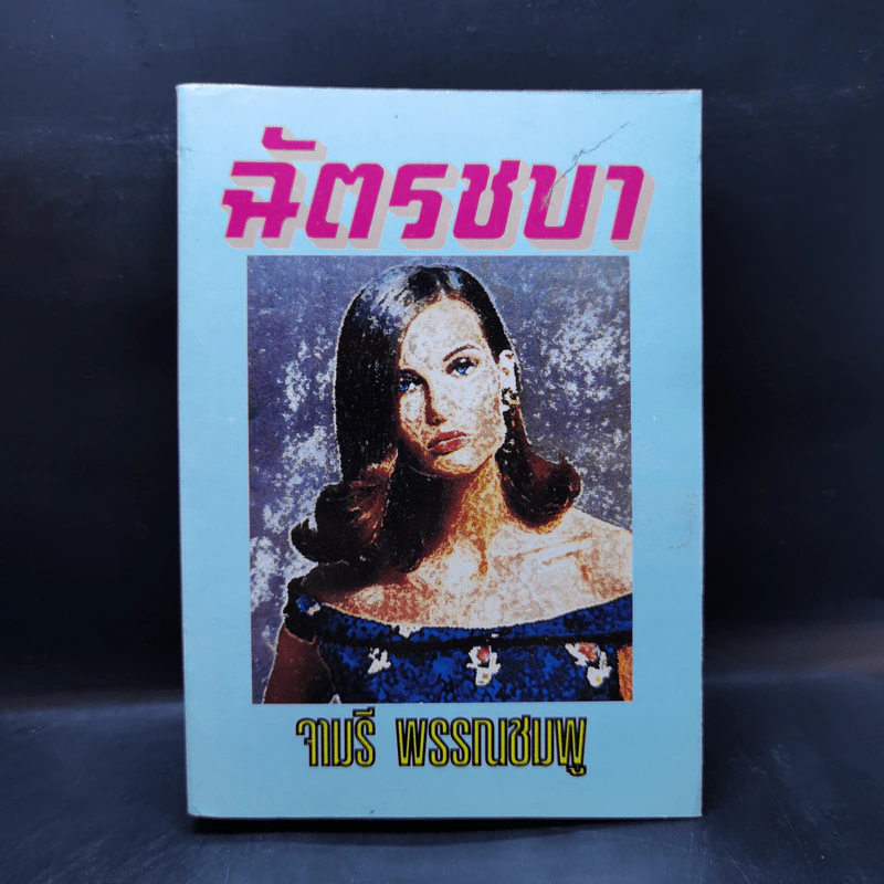 ฉัตรชบา - จามรี พรรณชมพู รูปที่ 1