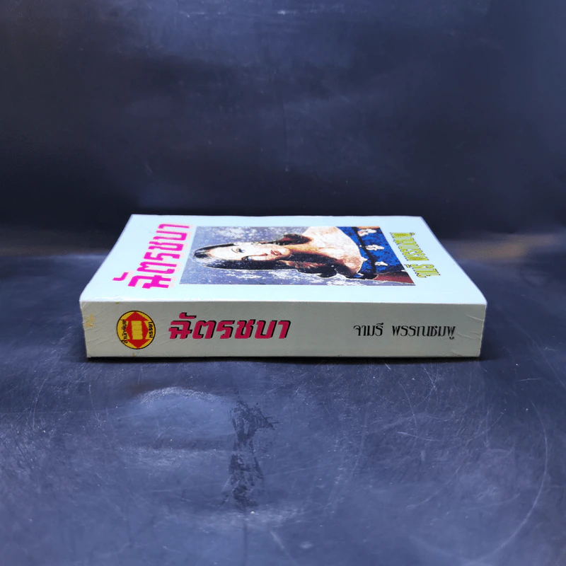 ฉัตรชบา - จามรี พรรณชมพู รูปที่ 3