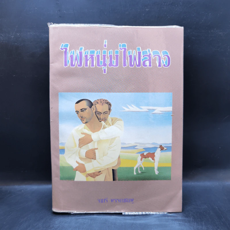 ไฟหนุ่มไฟสาว - จามรี พรรณชมพู รูปที่ 1