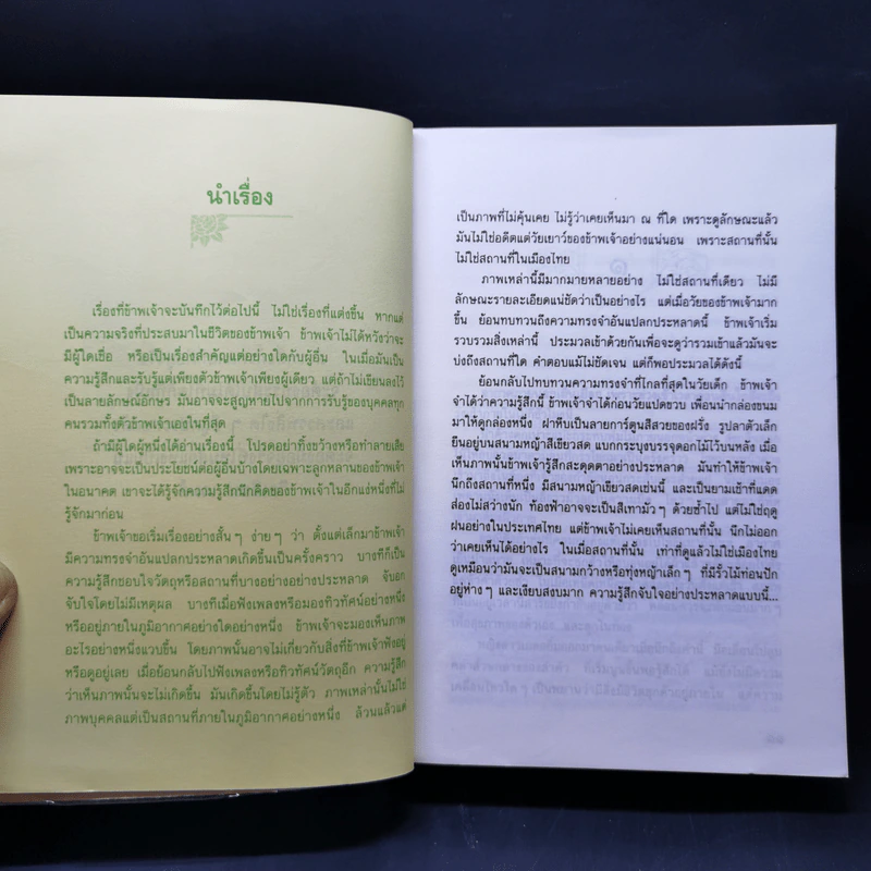 นางทิพย์ - แก้วเก้า รูปที่ 9