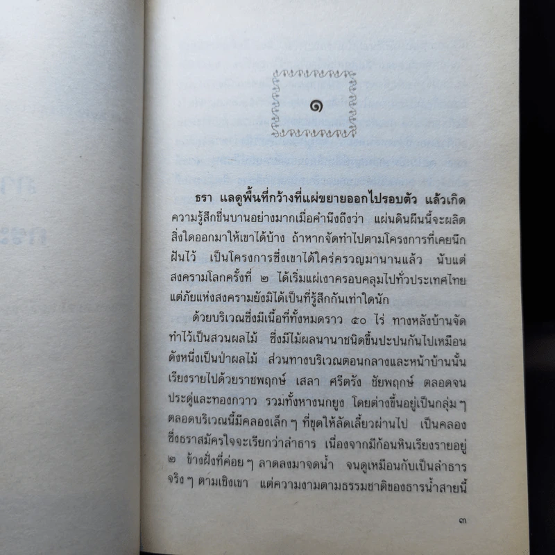 ชั่วนิรันดร - สุรพงษ์ บุนนาค รูปที่ 10