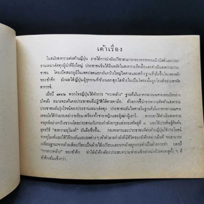 สงครามอุโมงค์ - เจ๋อเหมย, ปี้เหลย รูปที่ 9