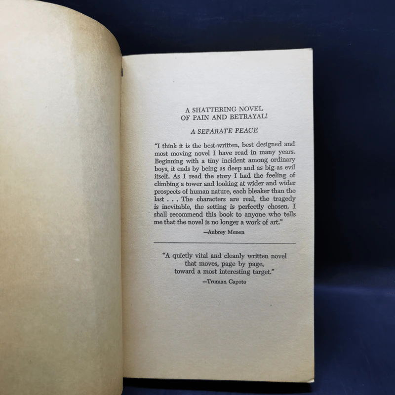 A Separate Peace - John Knowles รูปที่ 8
