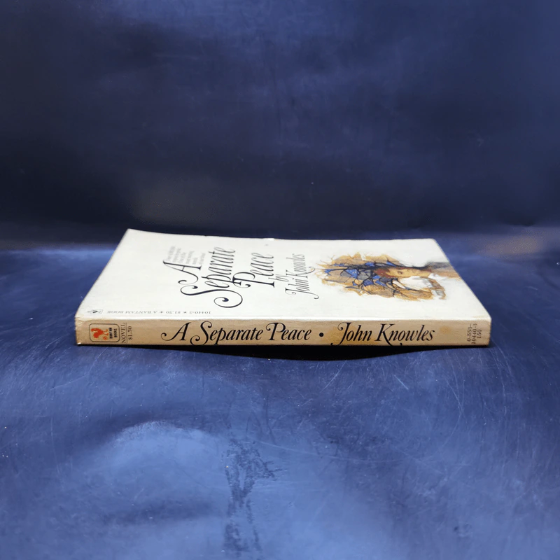 A Separate Peace - John Knowles รูปที่ 3