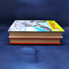 กระบี่พิศวาส เล่ม 1-2 - น.นพรัตน์ รูปที่ 5